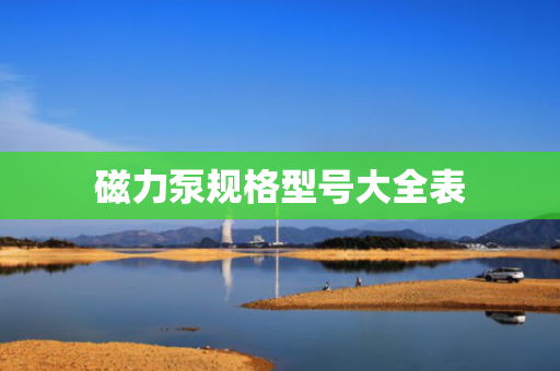 磁力泵规格型号大全表