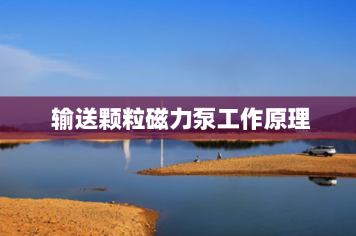  输送颗粒磁力泵工作原理