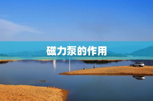 磁力泵的作用