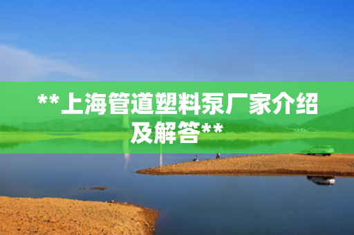 **上海管道塑料泵厂家介绍及解答**