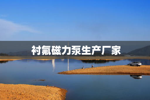  衬氟磁力泵生产厂家