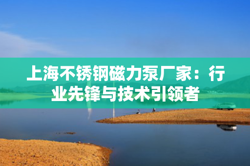 上海不锈钢磁力泵厂家：行业先锋与技术引领者