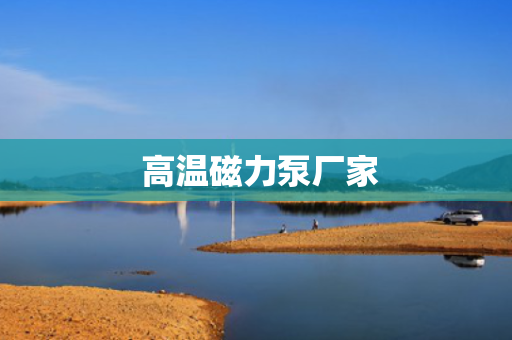  高温磁力泵厂家
