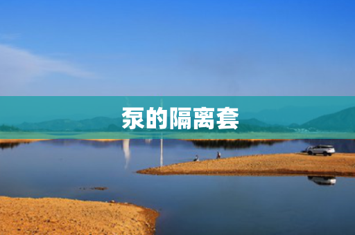  泵的隔离套
