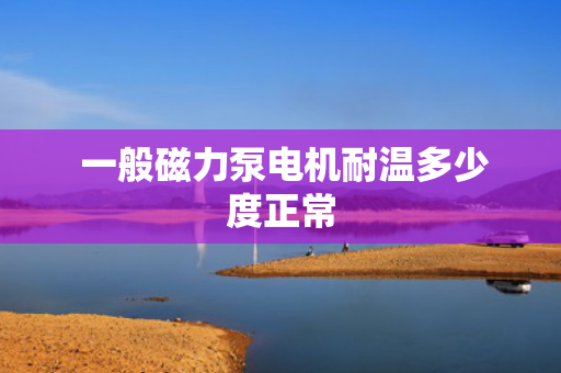  一般磁力泵电机耐温多少度正常