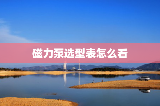 磁力泵选型表怎么看