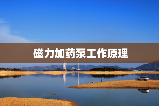  磁力加药泵工作原理