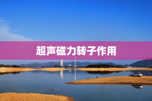 超声磁力转子作用