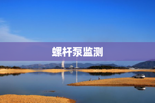 螺杆泵监测