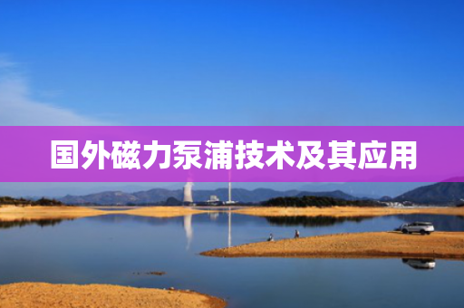 国外磁力泵浦技术及其应用