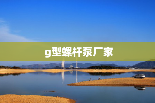  g型螺杆泵厂家