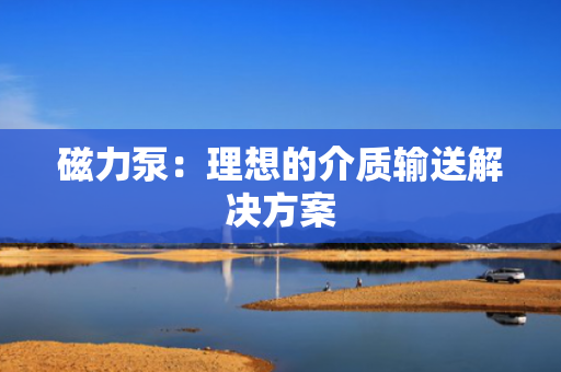 磁力泵：理想的介质输送解决方案