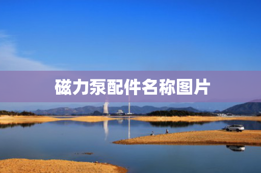  磁力泵配件名称图片