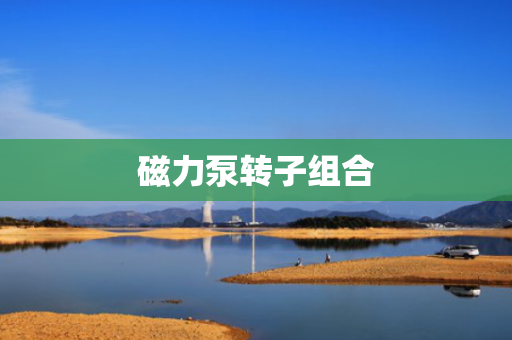 磁力泵转子组合