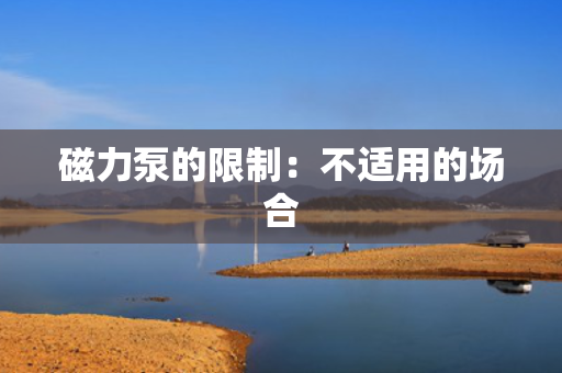 磁力泵的限制：不适用的场合
