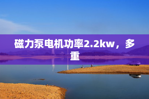 磁力泵电机功率2.2kw，多重