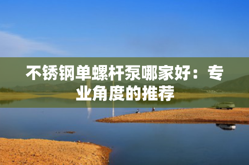 不锈钢单螺杆泵哪家好：专业角度的推荐