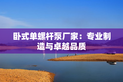 卧式单螺杆泵厂家：专业制造与卓越品质