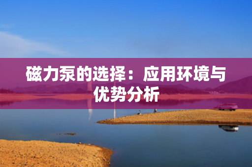 磁力泵的选择：应用环境与优势分析