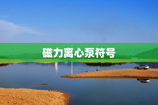 磁力离心泵符号