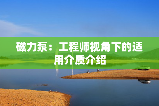 磁力泵：工程师视角下的适用介质介绍