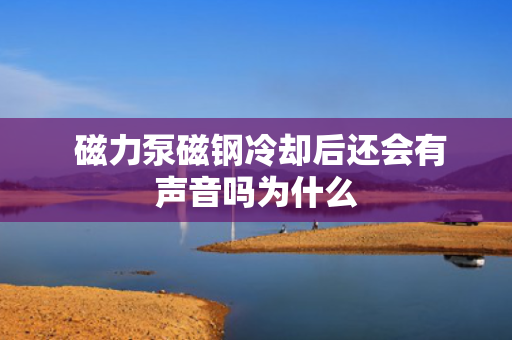  磁力泵磁钢冷却后还会有声音吗为什么