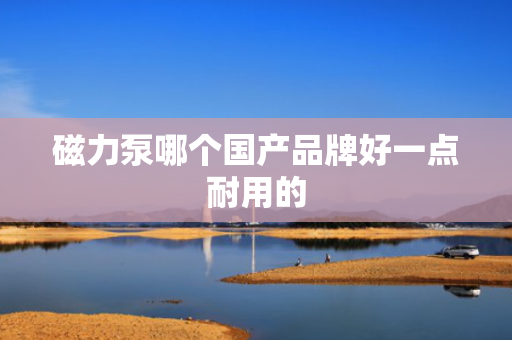 磁力泵哪个国产品牌好一点耐用的