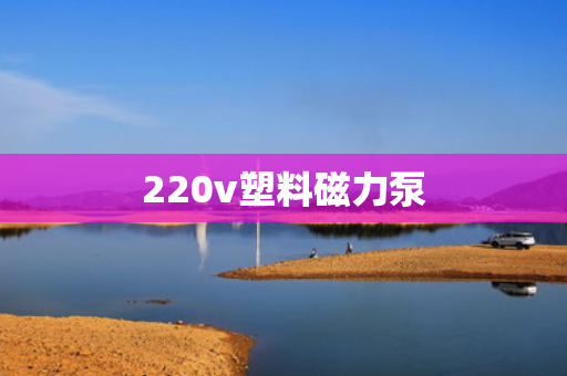 220v塑料磁力泵