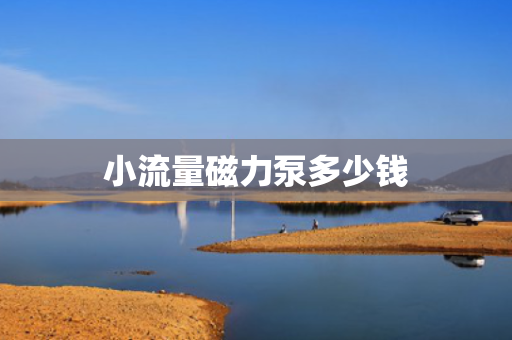 小流量磁力泵多少钱