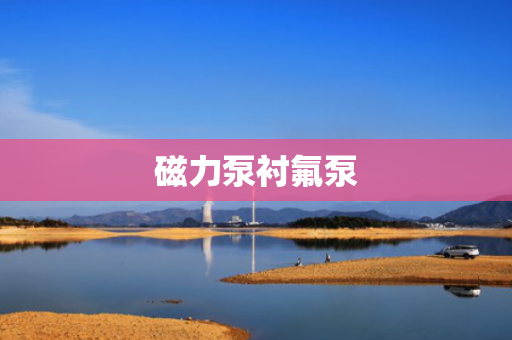 磁力泵衬氟泵
