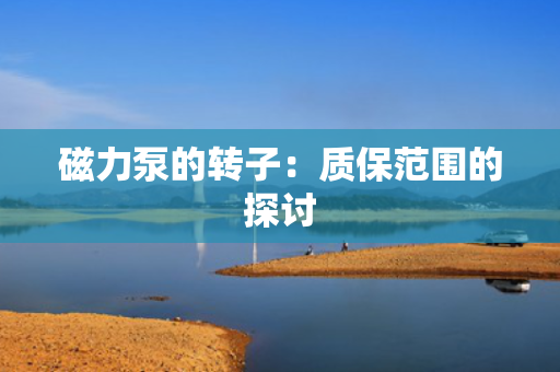 磁力泵的转子：质保范围的探讨