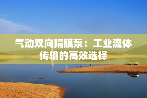 气动双向隔膜泵：工业流体传输的高效选择