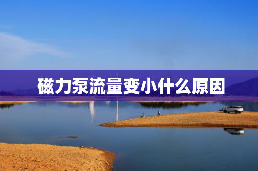  磁力泵流量变小什么原因