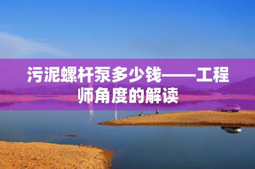污泥螺杆泵多少钱——工程师角度的解读