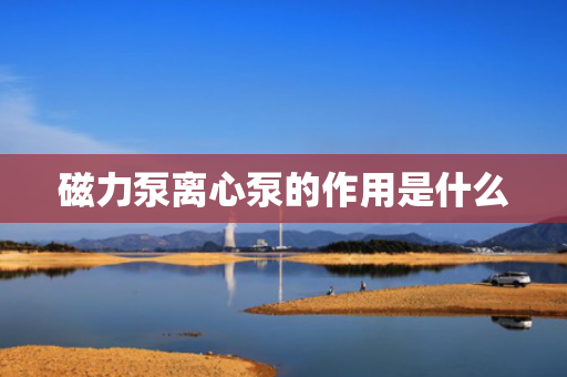 磁力泵离心泵的作用是什么