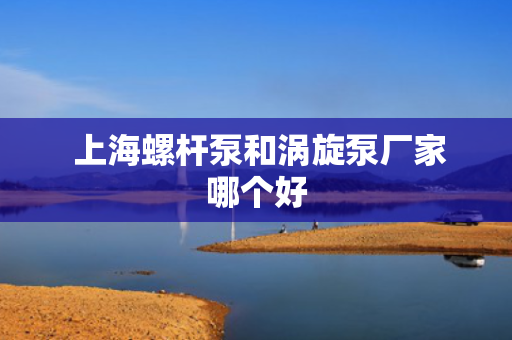  上海螺杆泵和涡旋泵厂家哪个好