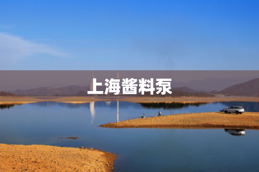 上海酱料泵