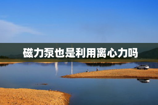  磁力泵也是利用离心力吗