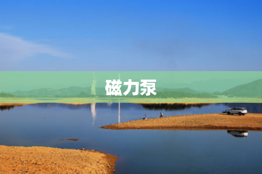 磁力泵