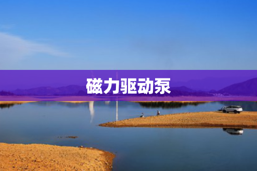 磁力驱动泵