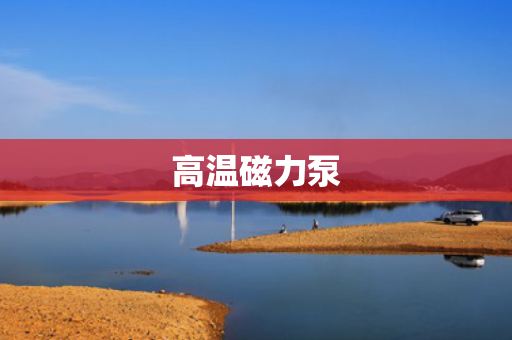 高温磁力泵