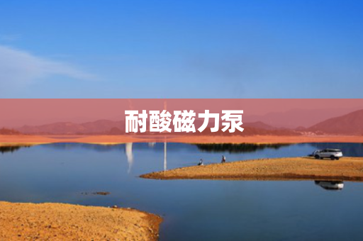  耐酸磁力泵