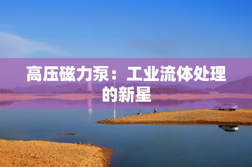 高压磁力泵：工业流体处理的新星