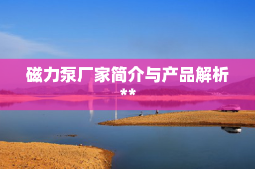 磁力泵厂家简介与产品解析**