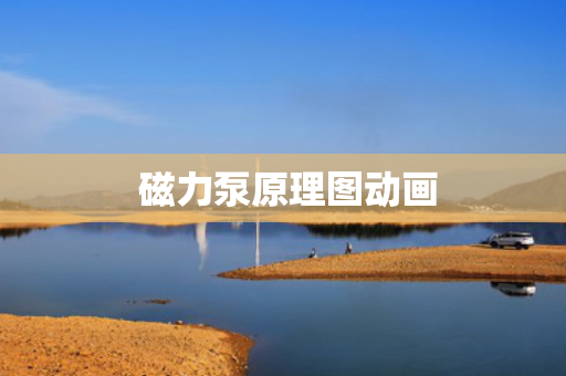  磁力泵原理图动画