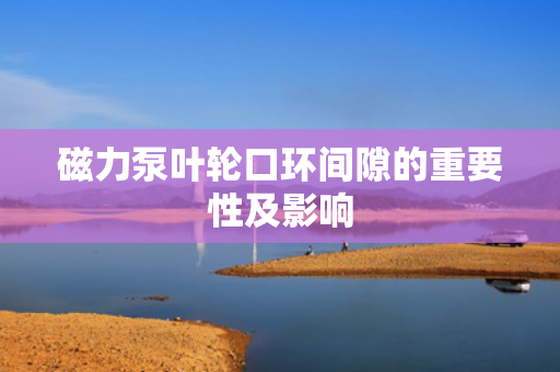 磁力泵叶轮口环间隙的重要性及影响
