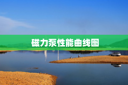  磁力泵性能曲线图