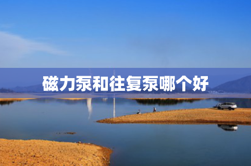 磁力泵和往复泵哪个好