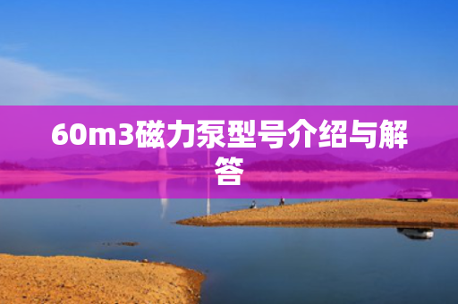 60m3磁力泵型号介绍与解答