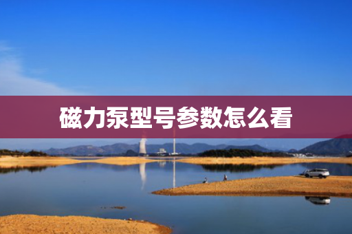 磁力泵型号参数怎么看